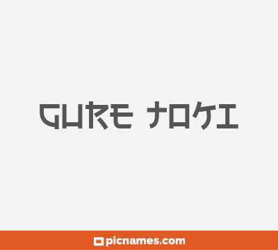 Gure Toki